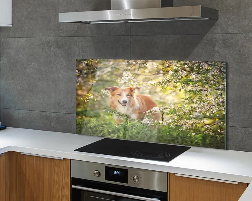 Szkło Ozdobne do Kuchni Pies wśród Leśnych Kwiatów