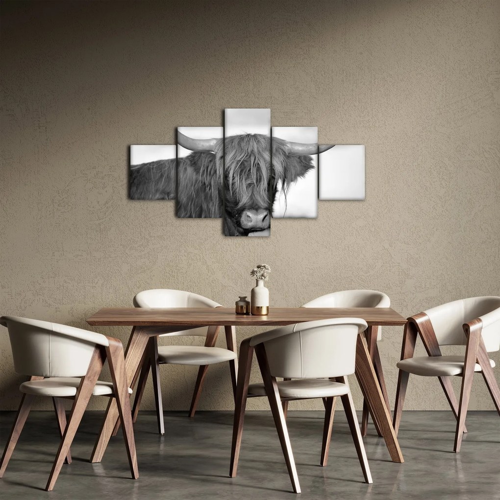 Obraz - Szkocka krowa 2, czarno - biały (125x70 cm)
