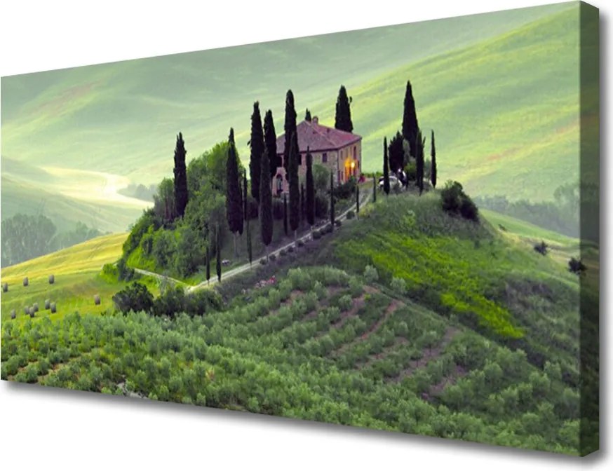 Zdjęcie na płótnie Sielska Łąka z Drzewami