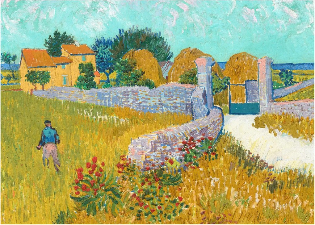 Obraz - Vincent van Gogh, Farmhouse in Provence, reprodukcje (70x50 cm)