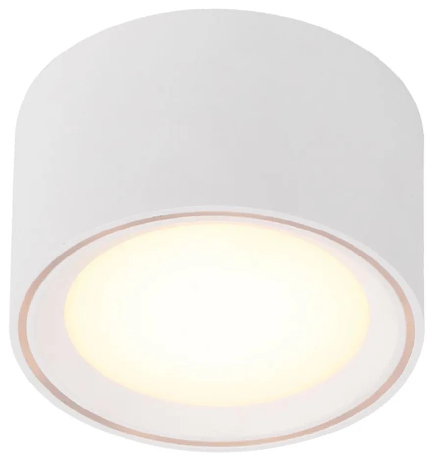 Nordlux - LED Oświetlenie punktowe FALLON LED/5,5W/230V białe