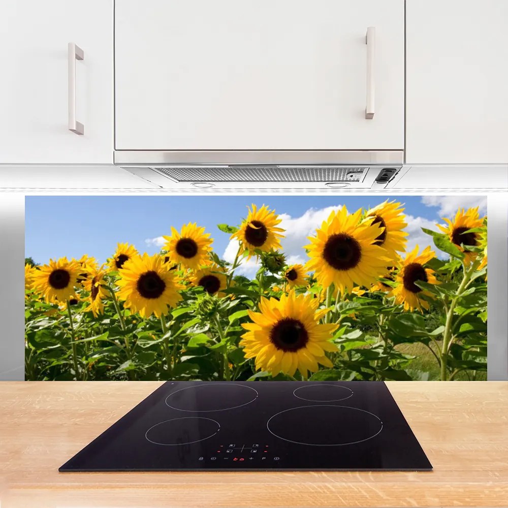 Panel Szklany Złoty Słonecznik w Słońcu