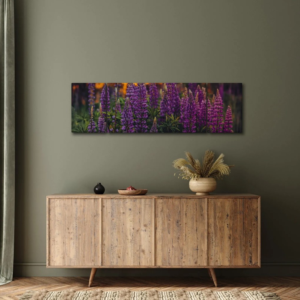 Obraz kwiatów łubinu (170x50 cm)