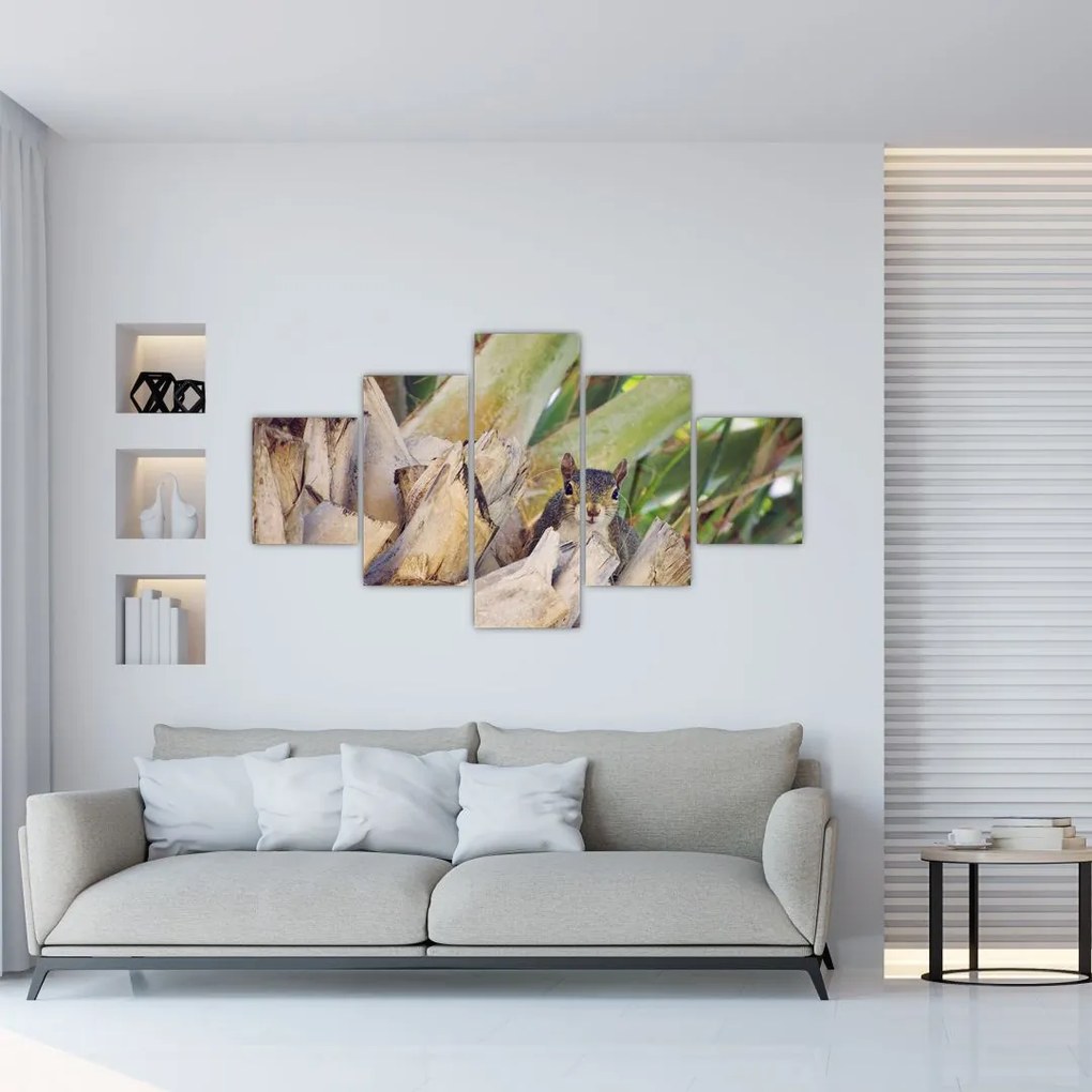 Obraz wiewiórki na drzewie (125x70 cm)
