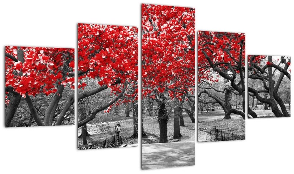 Obraz - Czerwone drzewa, Central Park, New York (125x70 cm)