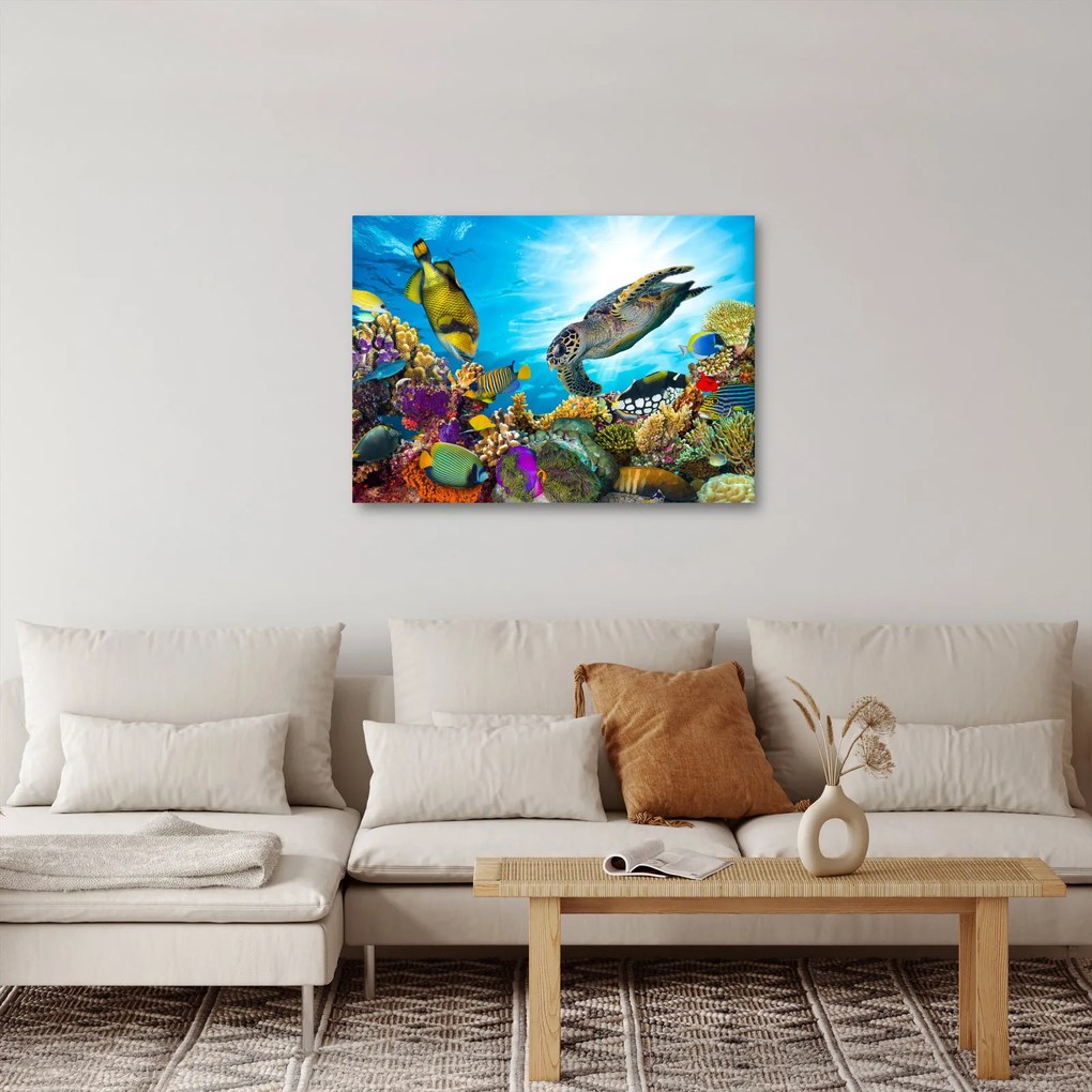 Obraz rafy koralowej (70x50 cm)