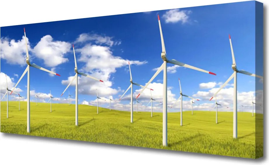 Obraz drukowany na płótnie Wiejska Chata w Polu