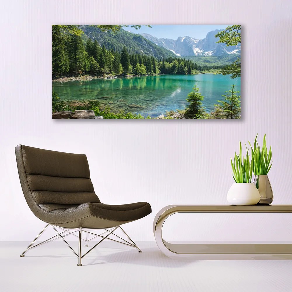 Obraz Canvas Góry Jezioro Las Przyroda