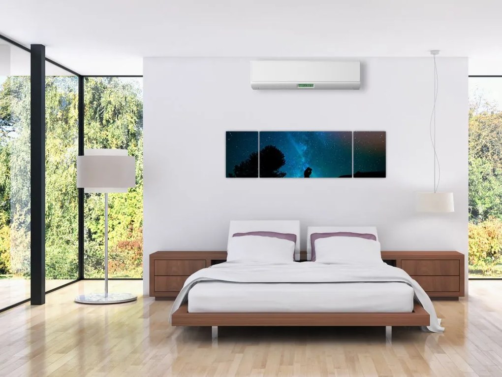Obraz - Spotkanie pod gwiazdami (170x50 cm)