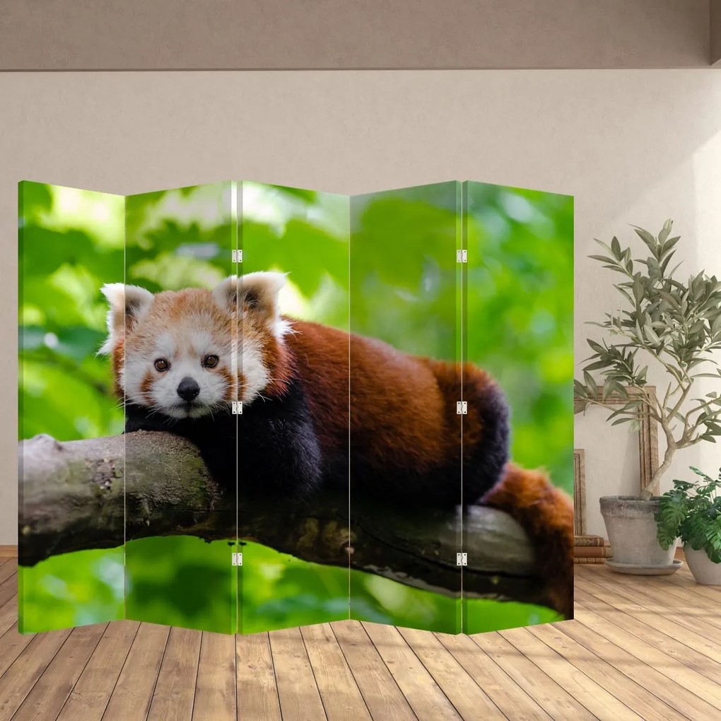 Parawan - Panda czerwona (210x170 cm)