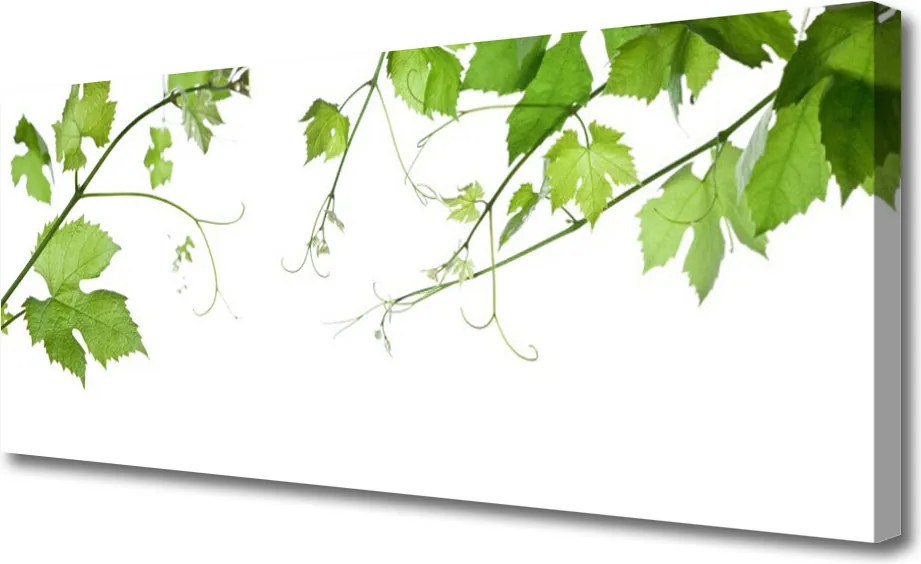 Fotoobraz na płótnie Kwitnące Gałązki Wiśni