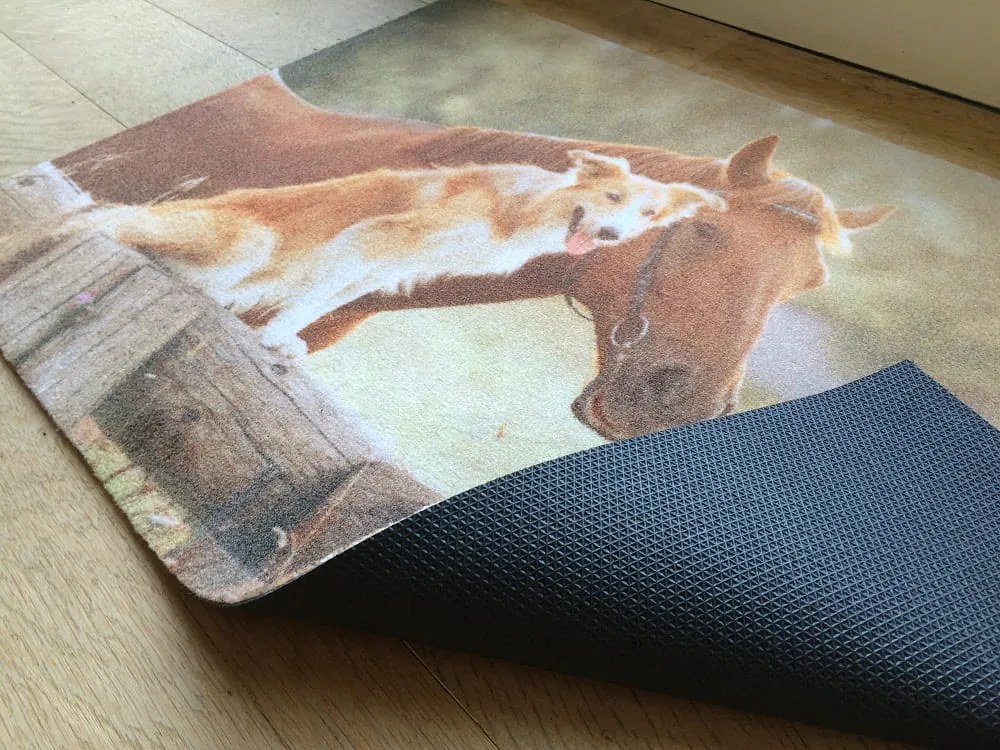 Wycieraczka Deco Star Przyjaciele 50 cm x 80 cm