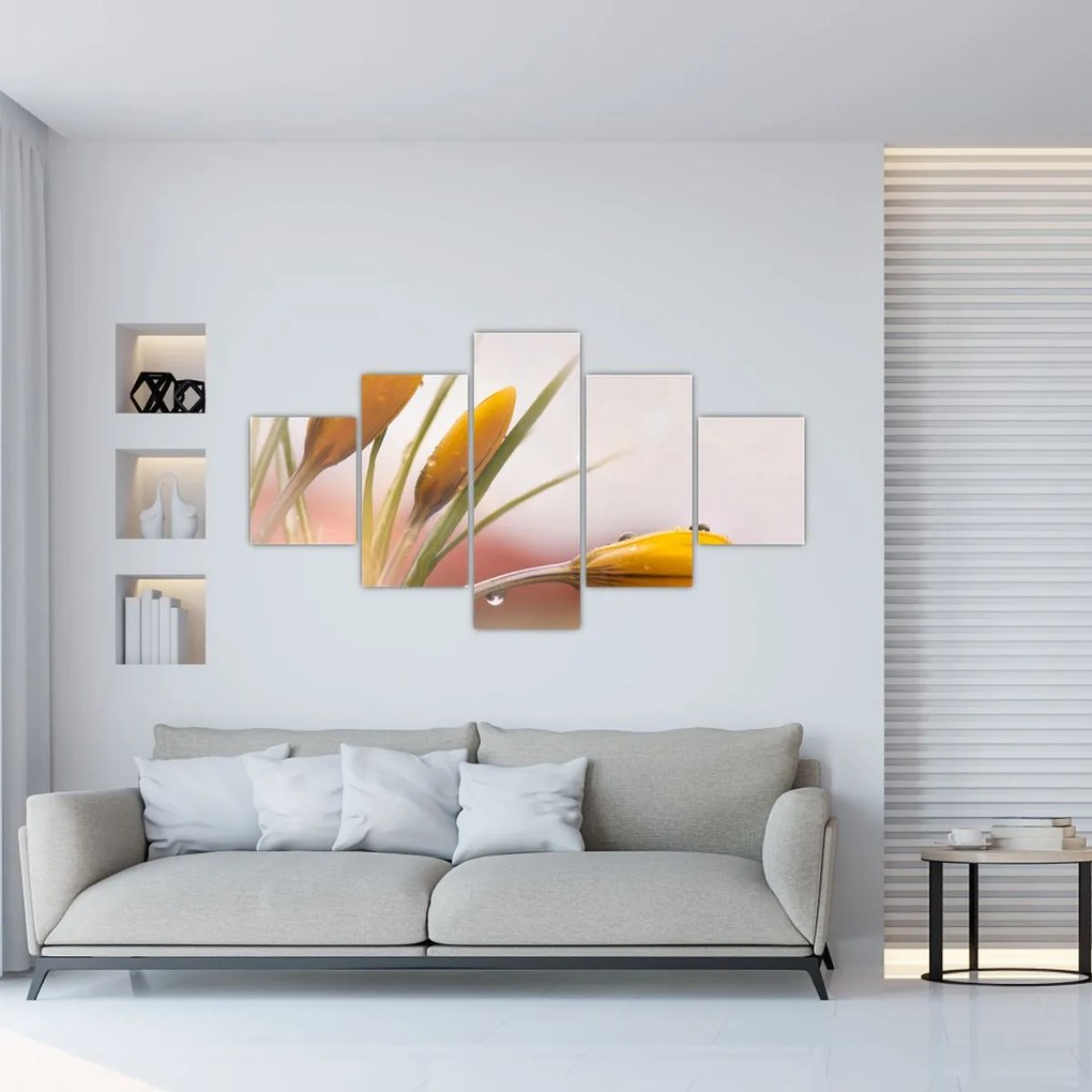 Obraz - Wiosenne kwiaty (125x70 cm)