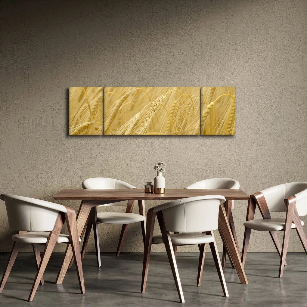 Obraz - Jęczmień (170x50 cm)