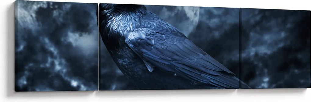 Obraz - Gawron (170x50 cm)