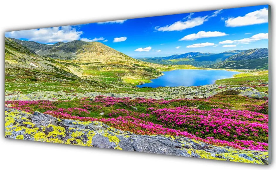 Szkło Ozdobne do Kuchni Zielona Zatoka Pod Górą