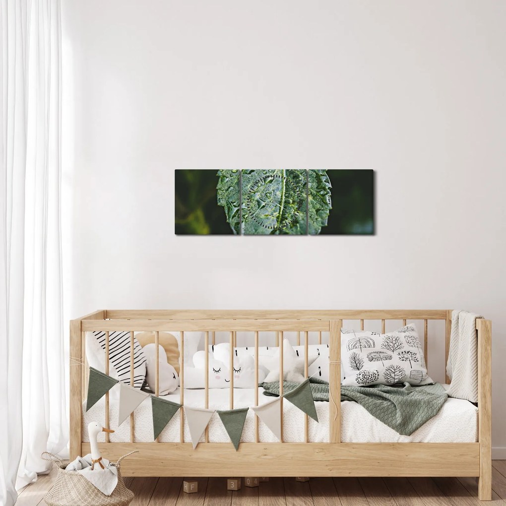 Obraz - krople na liściu (z zegarem) (90x30 cm)