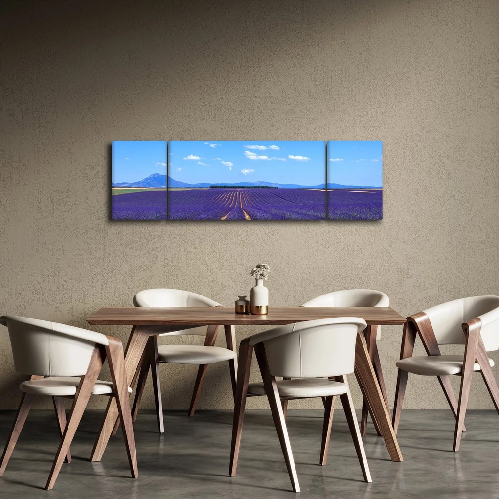 Obraz - Pole lawendy (170x50 cm)