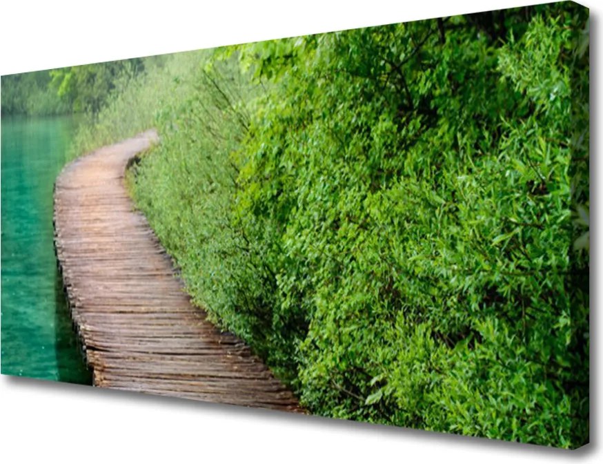 Obraz canvas Drewniany Mostek w Lesie