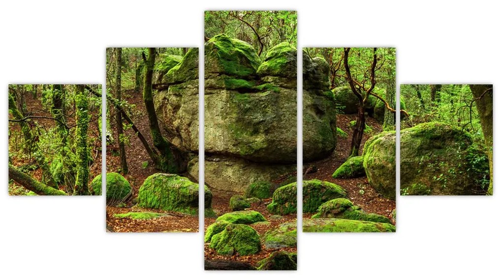 Obraz magicznego lasu (125x70 cm)
