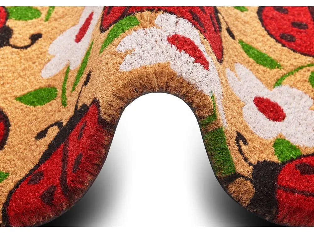 Wycieraczka z włókna kokosowego 75x45 cm Lady Beetle – Hanse Home