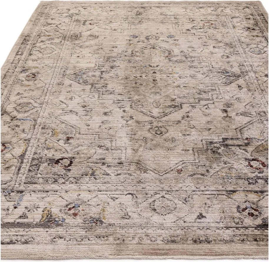 Beżowy dywan 120x166 cm Sovereign – Asiatic Carpets