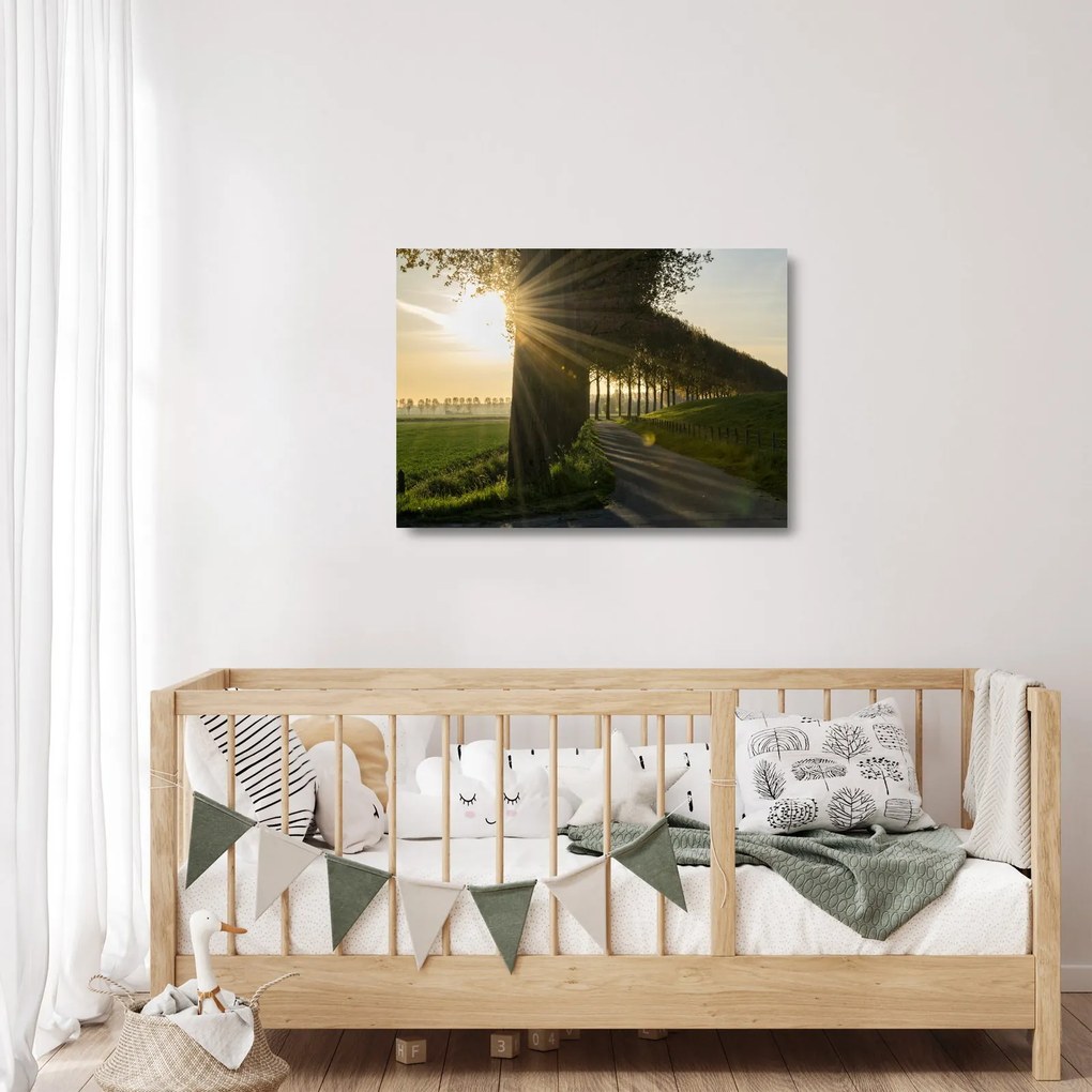 Obraz na szkle - aleja (70x50 cm)
