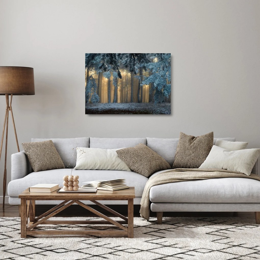 Obraz na szkle zaśnieżonego lasu (70x50 cm)