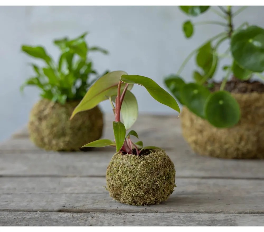 Doniczka ø 9 cm Kokedama – Esschert Design