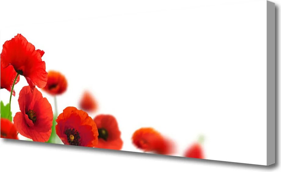 Zdjęcie na płótnie Czerwone Maki w Słońcu