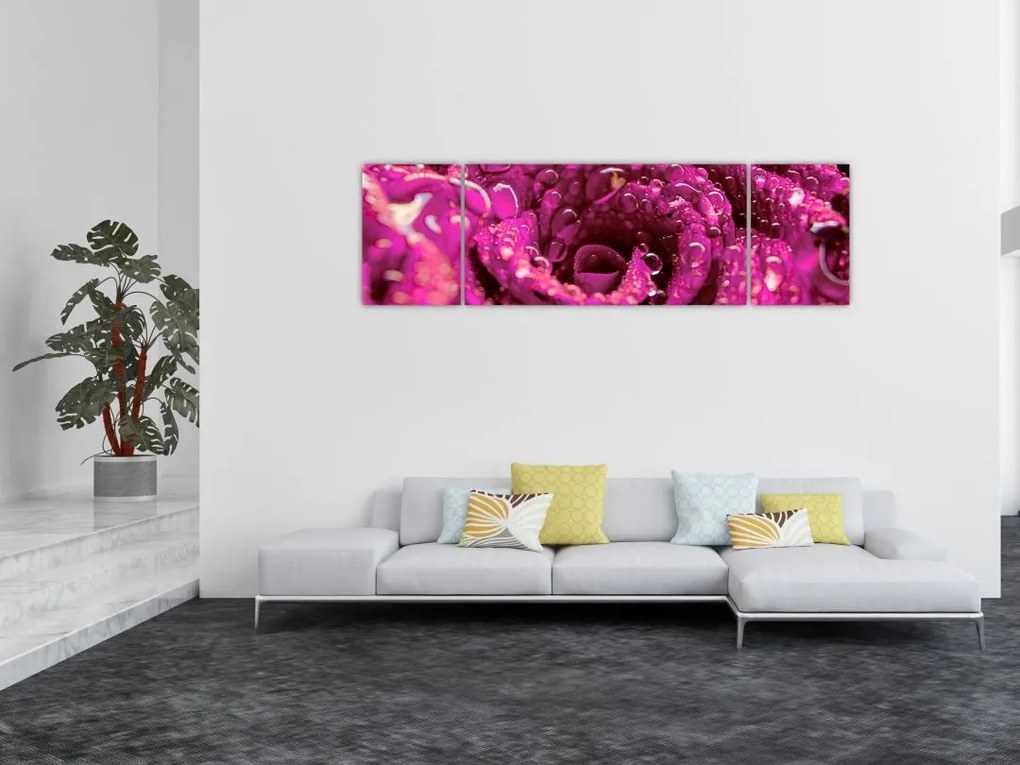 Obraz różowego kwiatu róży (170x50 cm)