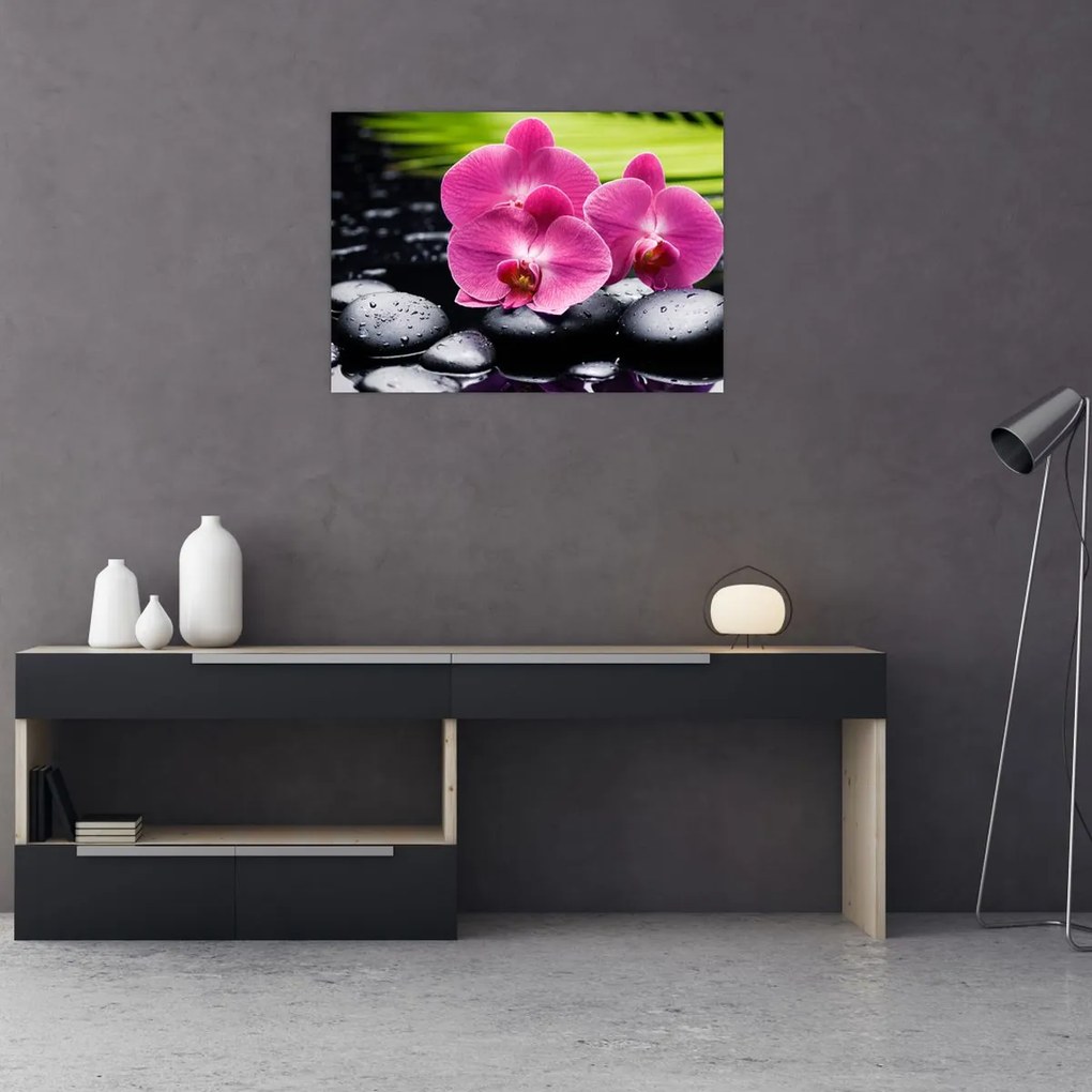 Obraz - Różowe orchidee z liściem palmy (70x50 cm)