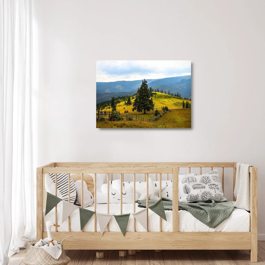 Obraz na szkle - Górska łąka (70x50 cm)