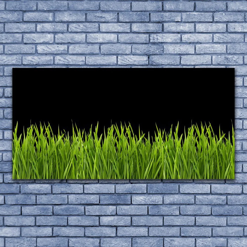 Obraz canvas Puszysta Kula Dmuchawca