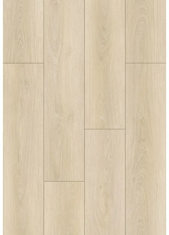 Mexen Charlotte  próbka paneli winylowych 1240 x 182 mm SPC 6,5 mm, podkład IXPE 1,5 mm, 4 V-Fuga, Dąb - F1055-S