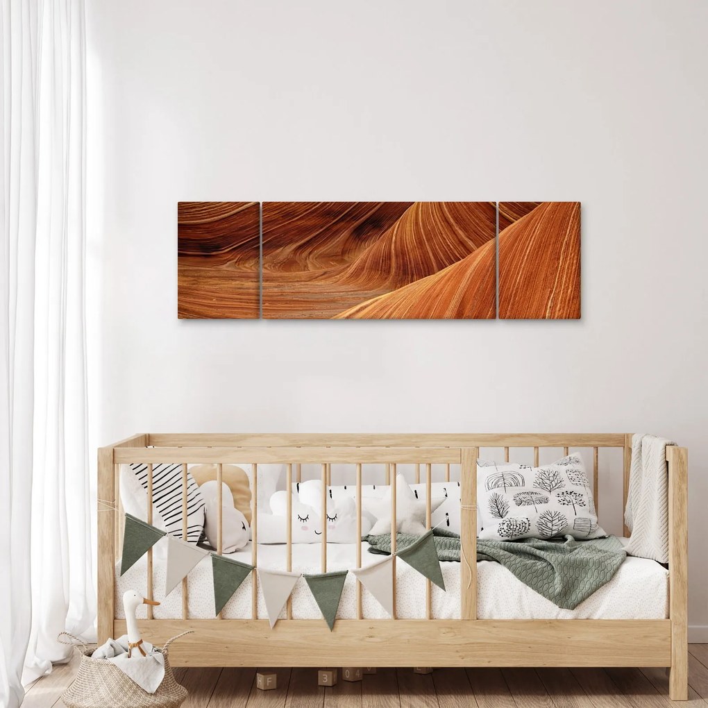 Obraz - Czerwony piasek (170x50 cm)