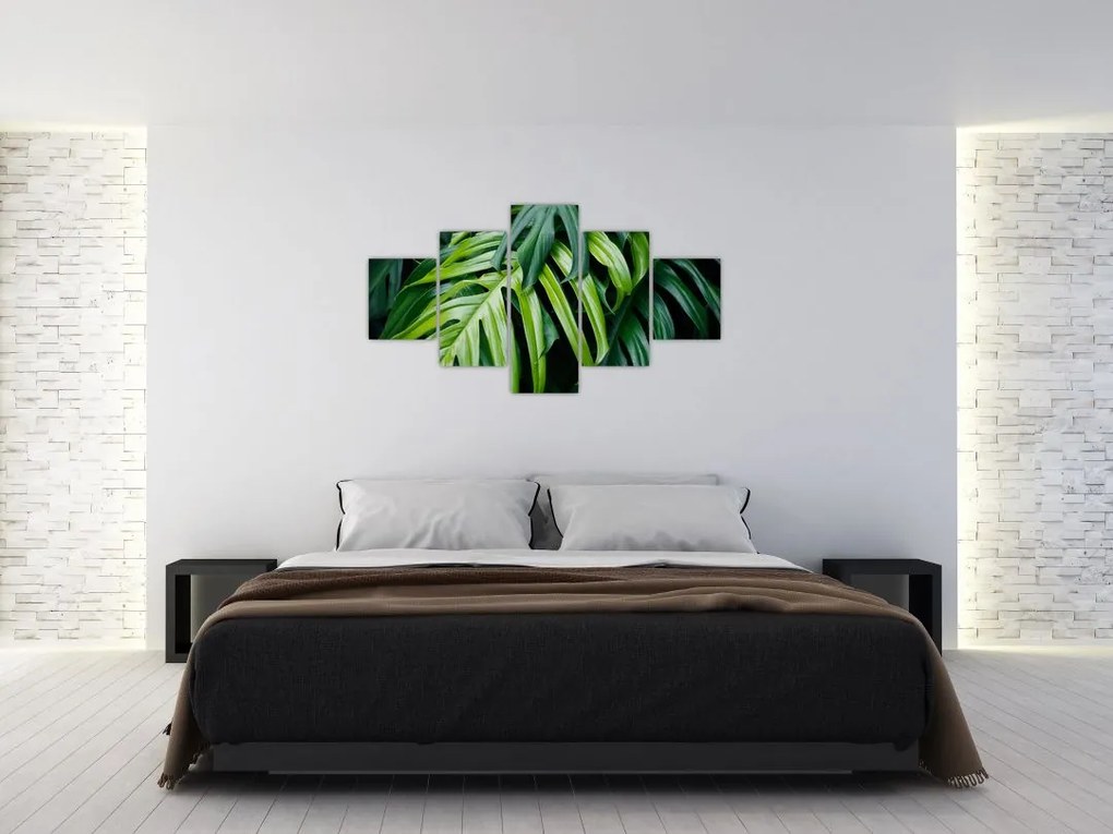 Obraz - Tropikalne liście (125x70 cm)