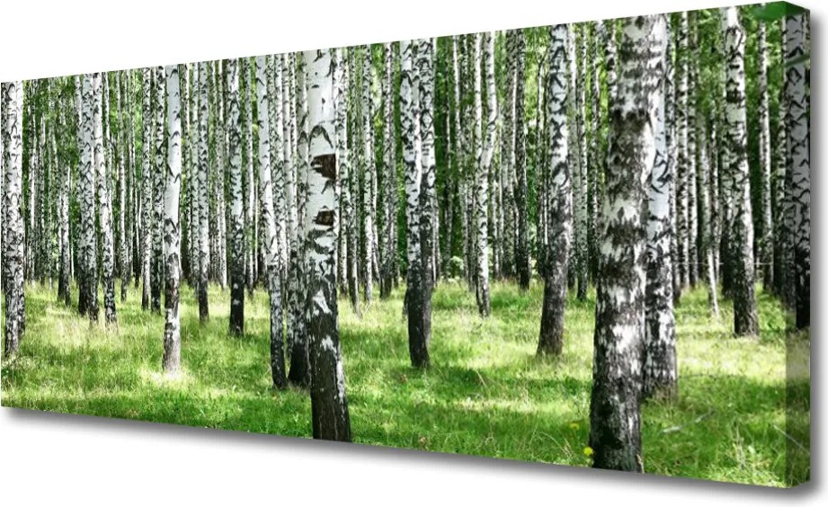 Obraz canvas Leśna Gęstwina i Trawy