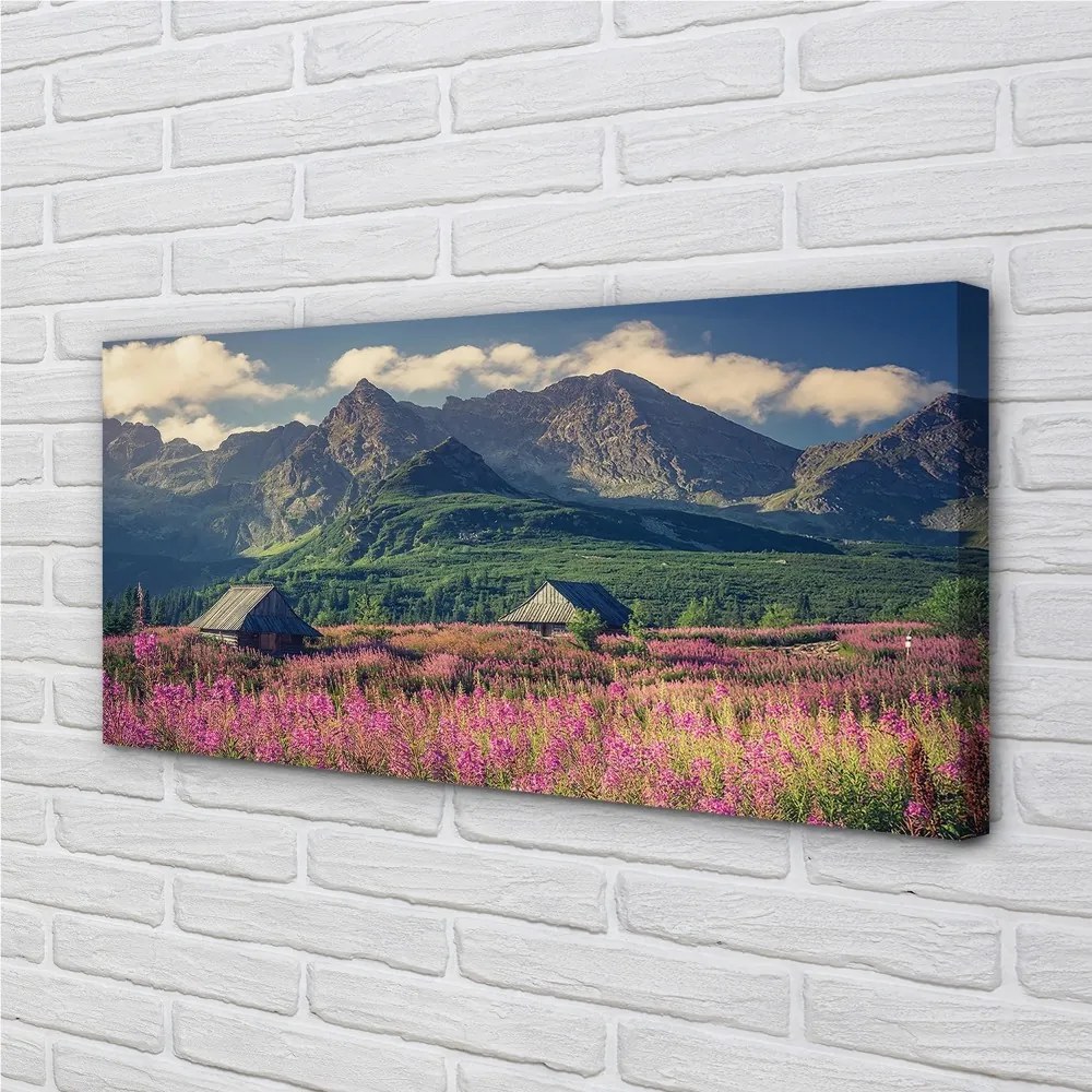 Obraz drukowany na płótnie Góry, Pola i Domki