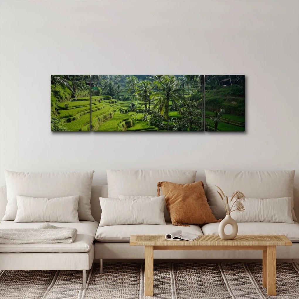 Obraz tarasów ryżowych Tegalalang, Bali (170x50 cm)