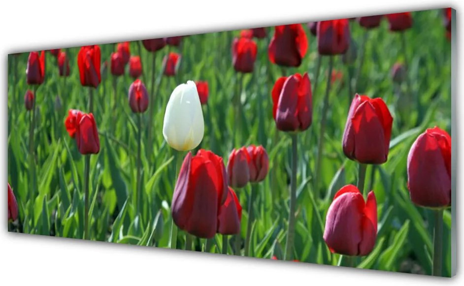 Panel Szklany Romantyczny Ogród Tulipanowy