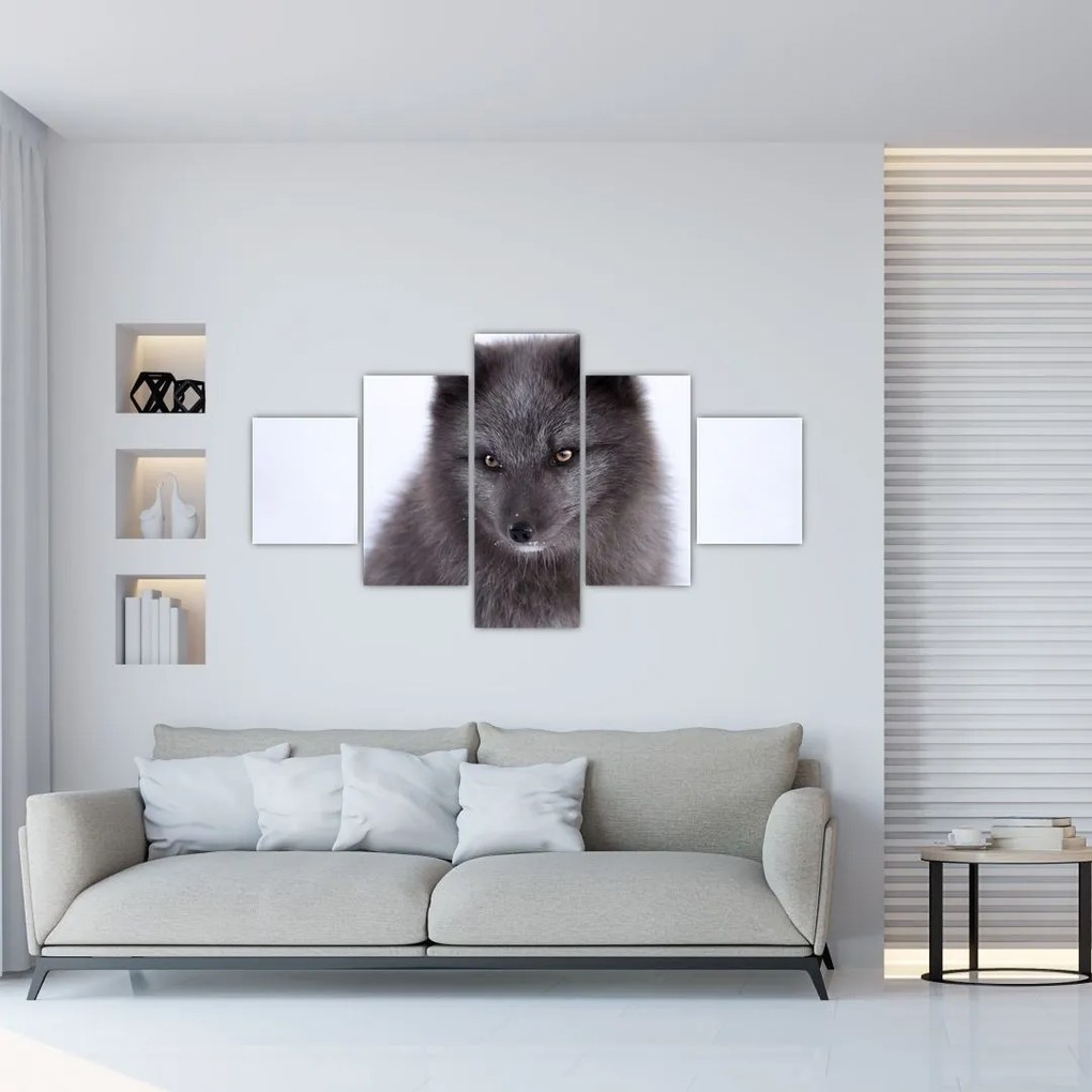Obraz lisa śnieżnego (125x70 cm)