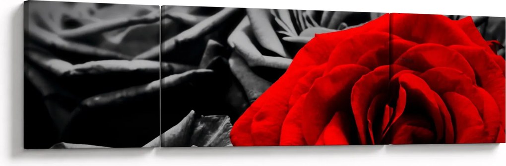 Obraz - Róże (170x50 cm)