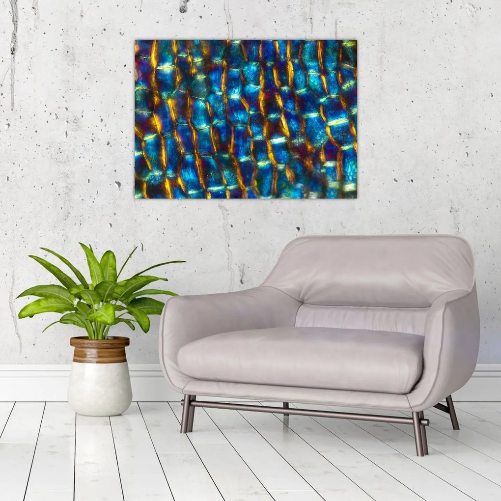 Obraz - Ściana komórkowa (70x50 cm)