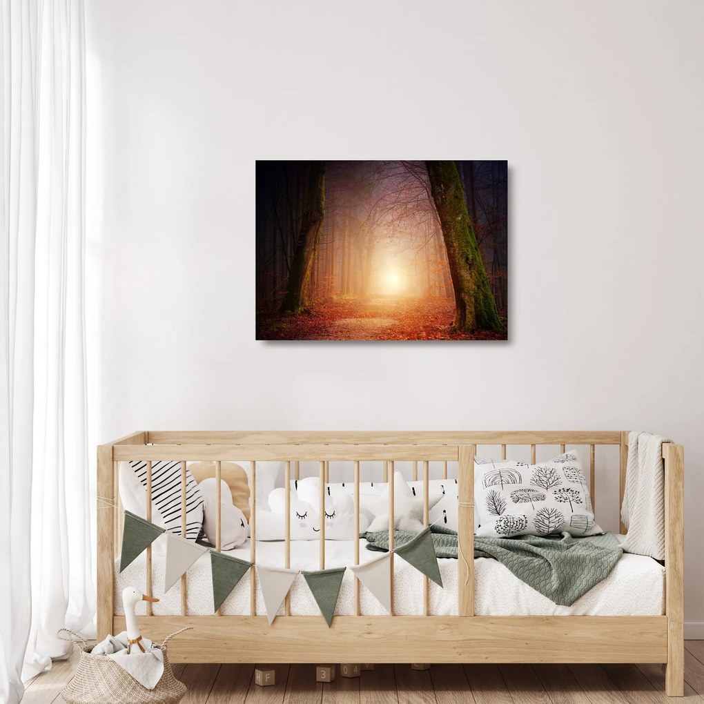 Obraz na szkle - jesienny las we mgle (70x50 cm)