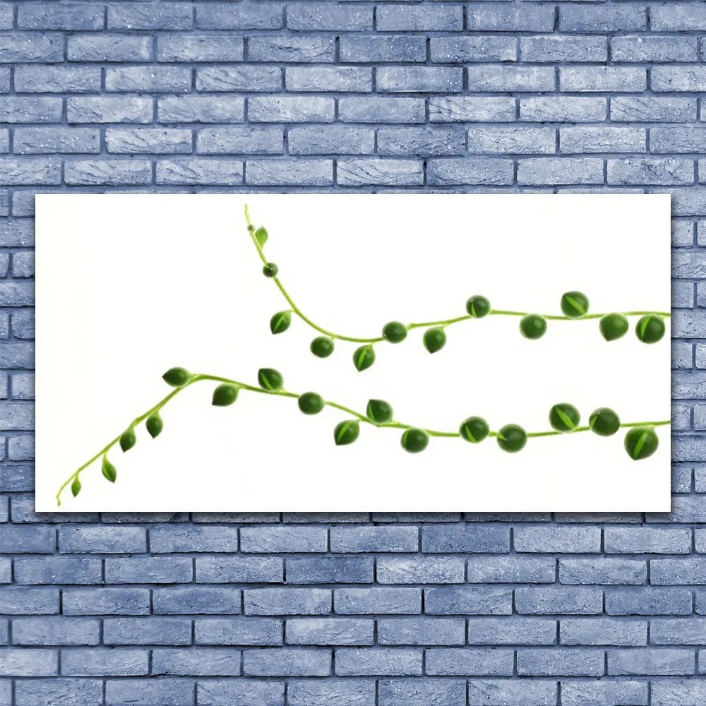 Zdjęcie na płótnie Stylowa Roślina Dekoracyjna