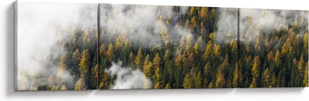 Obraz lasu w chmurach (170x50 cm)
