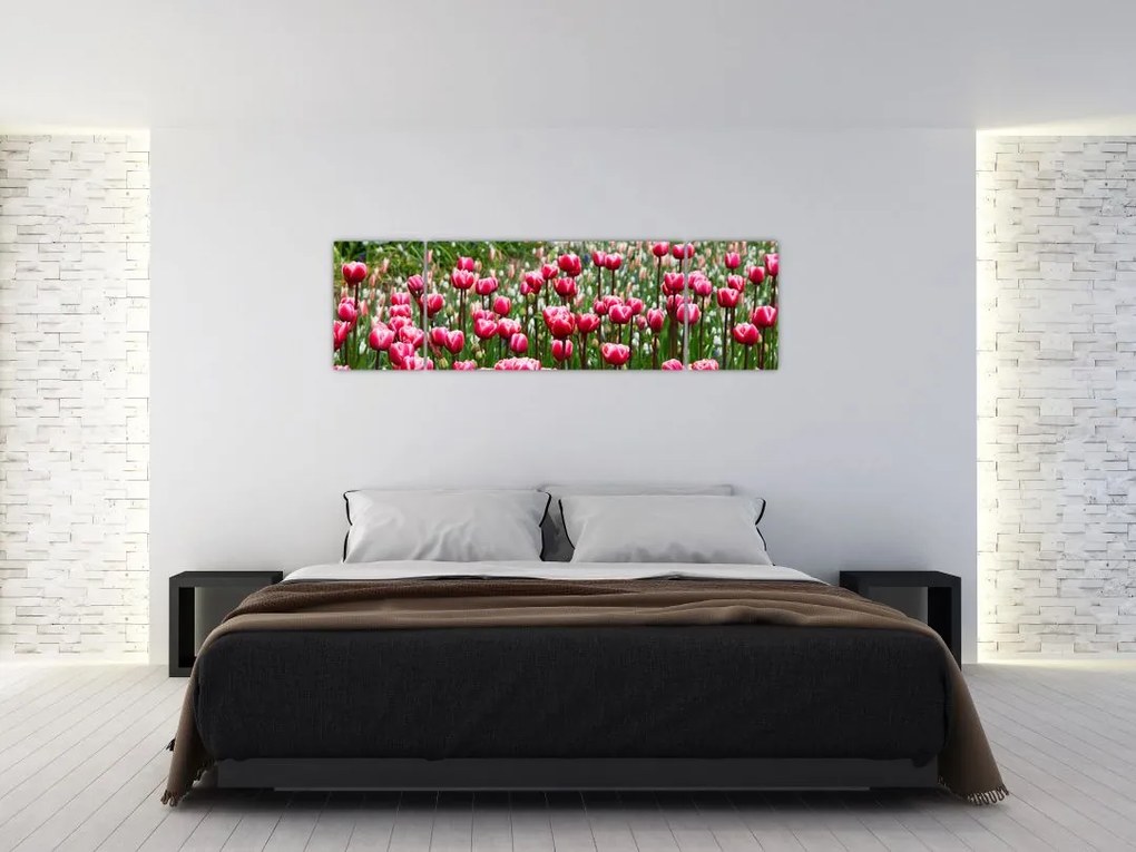 Obraz tulipanów (170x50 cm)