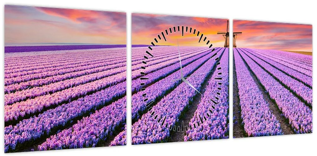 Obraz - farma kwiatów (z zegarem) (90x30 cm)