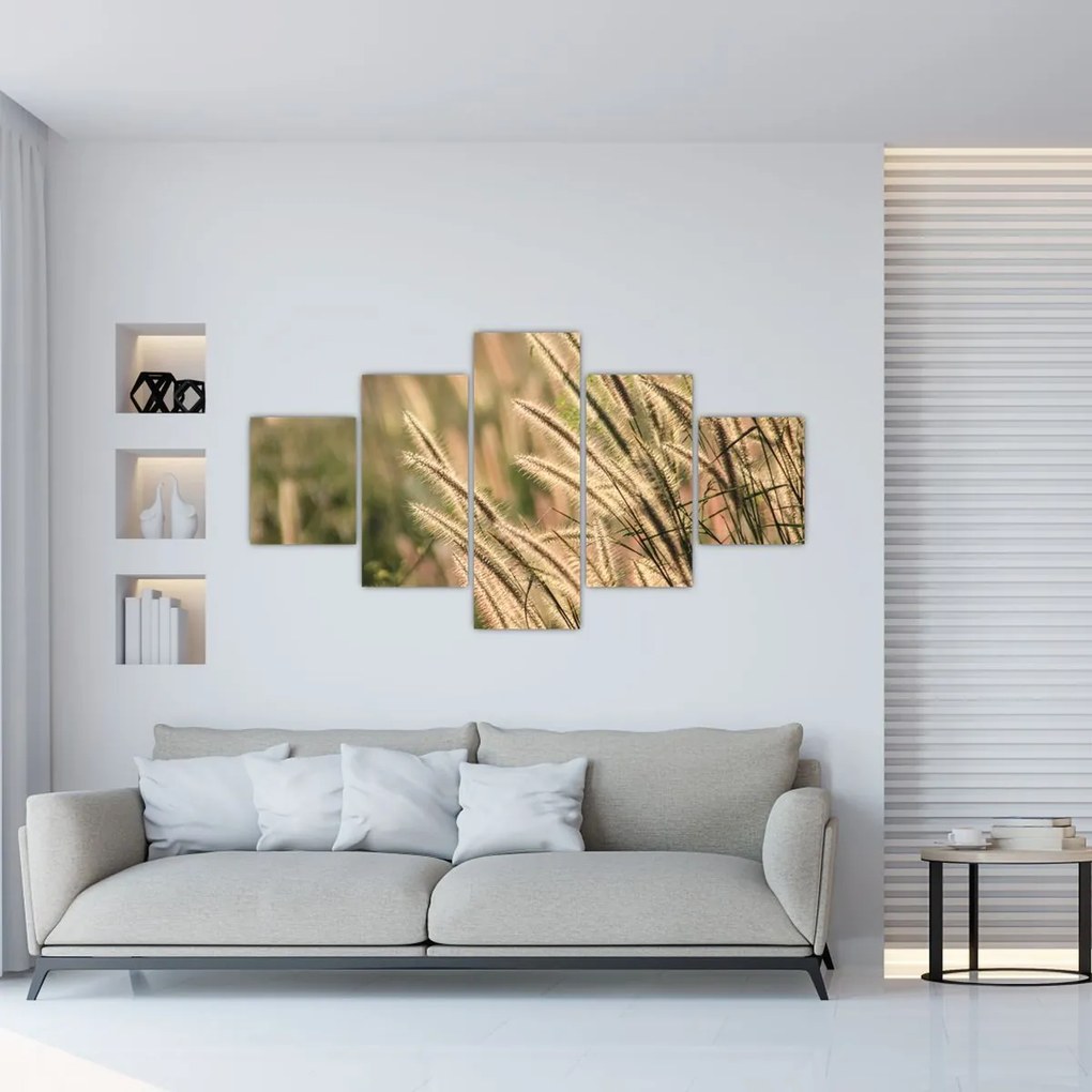Obraz - Ziarno (125x70 cm)